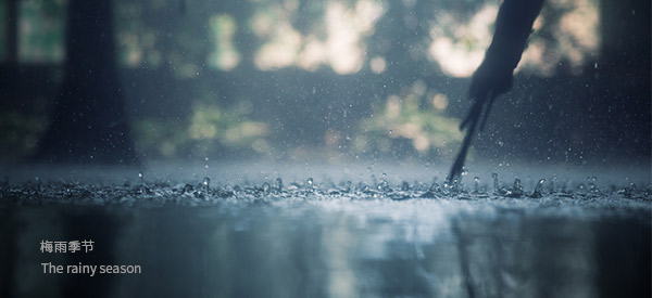 梅雨季節(jié)到了，您家的別墅地下室做了防潮處理嗎？